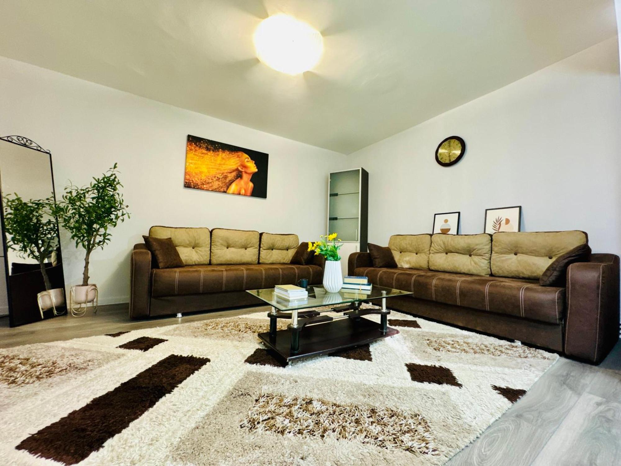 Joy City Stay Spacious Comfortable 티미쇼아라 외부 사진