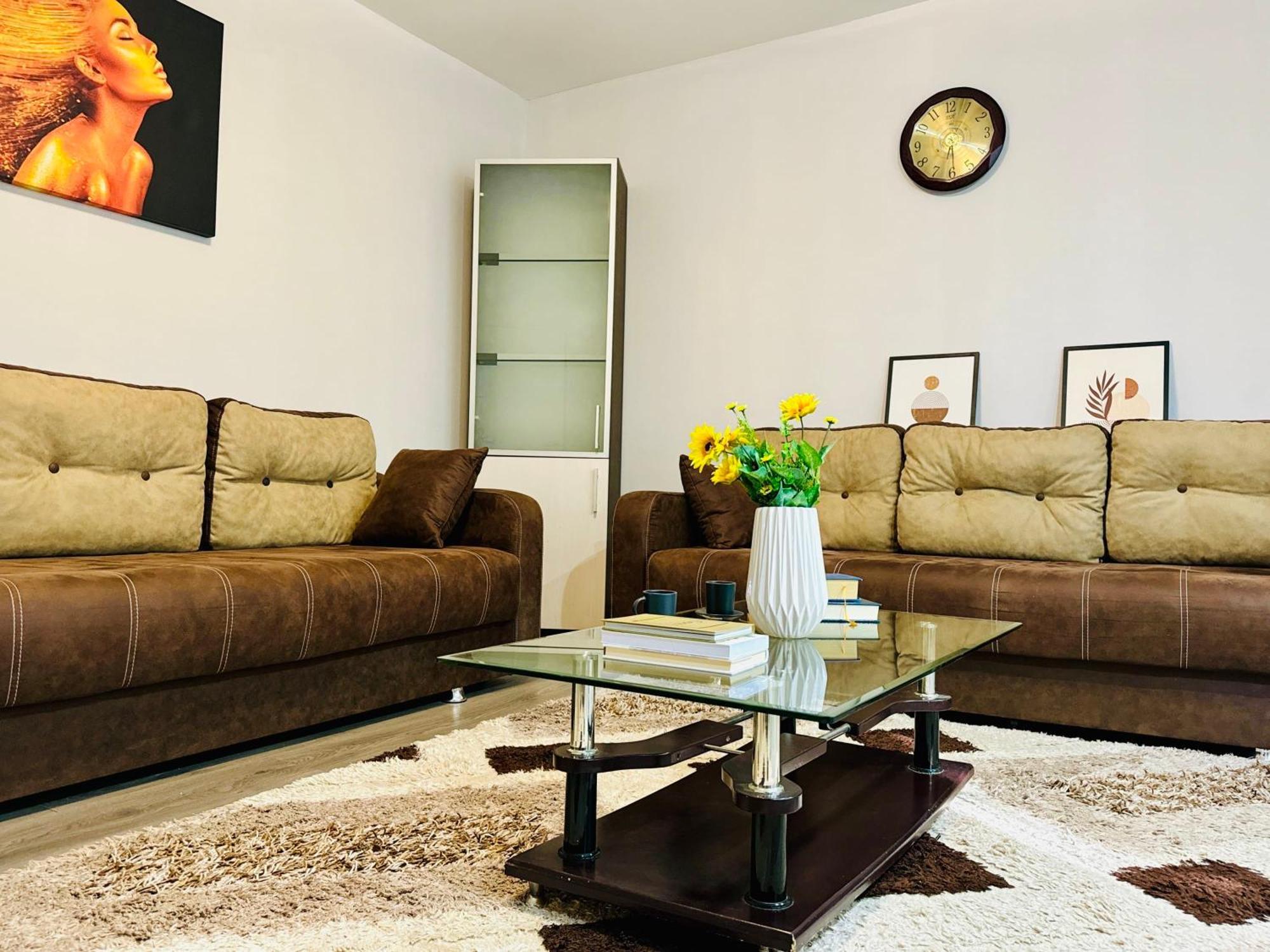 Joy City Stay Spacious Comfortable 티미쇼아라 외부 사진