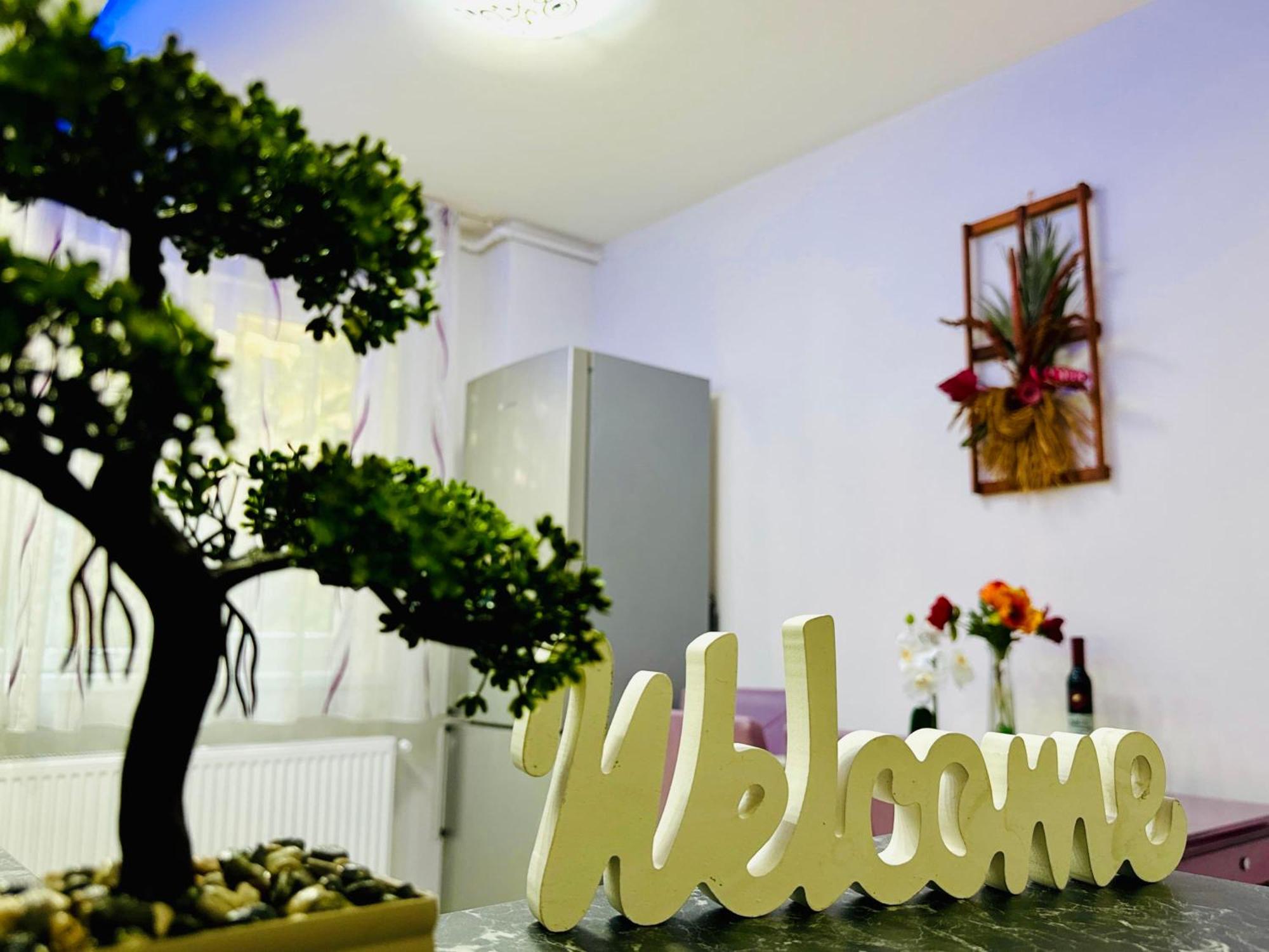Joy City Stay Spacious Comfortable 티미쇼아라 외부 사진