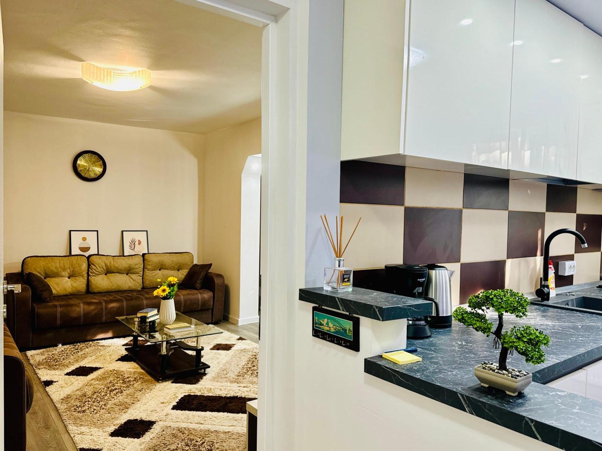 Joy City Stay Spacious Comfortable 티미쇼아라 외부 사진